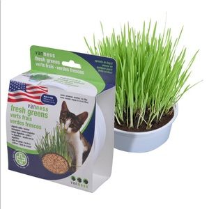 Van Ness Oat Garden Kit - New!